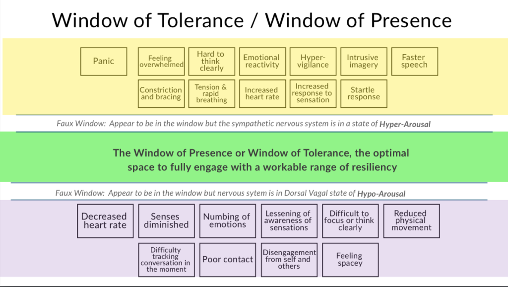 Fuller Life Window of Tolerance